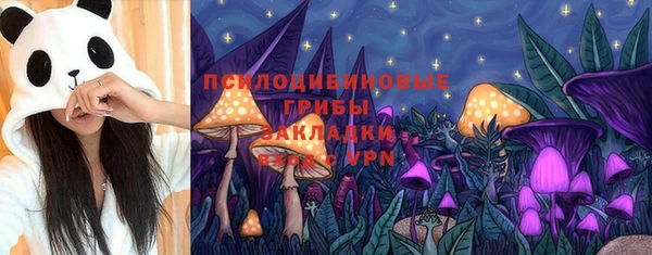 трава Надым
