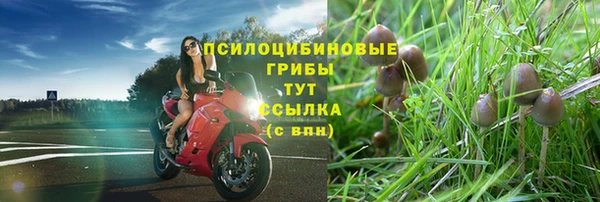 2c-b Нея