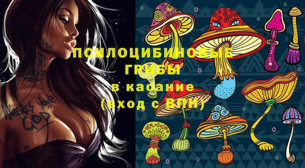 ПСИЛОЦИБИНОВЫЕ ГРИБЫ Новозыбков