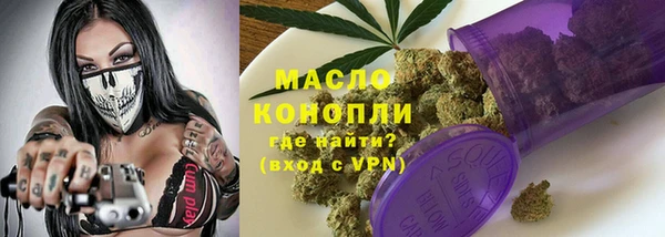 дживик Анива