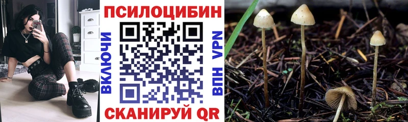 Галлюциногенные грибы Magic Shrooms  МЕГА ссылки  Нововоронеж 