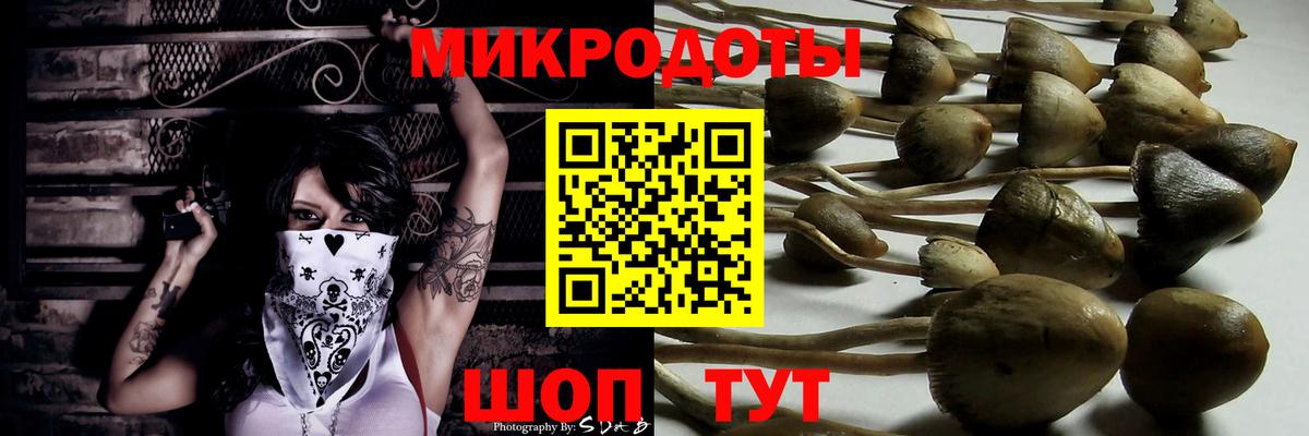 Нововоронеж  Галлюциногенные грибы мицелий  Вход с VPN  Псилоцибиновые грибы ЛСД 